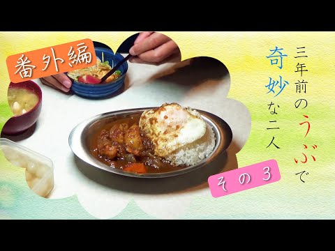 【夜ご飯はカレー】未公開映像とボロアパートルームツアその３｜年の差夫婦の何気ない会話｜Japanese food｜今日のご飯なに？