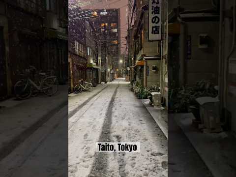 Even though it was freezing cold, I couldn’t move until I captured this beautiful view! #tokyojapan