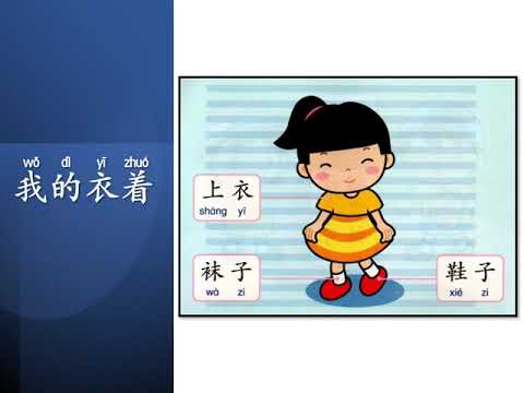 学前教育班 Prasekolah 幼儿园 Preschool | Theme 主题教学 ：服装 - 我的衣着