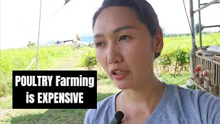 How much it COST to Build a Small Poultry Farm in the Philippines Part 1