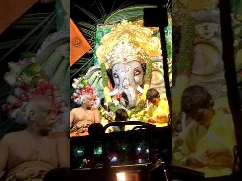 Our colony Ganesh nimarjanam celebrations #festival#subscribe