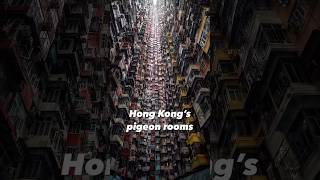 Pigeon-rooms of Hong Kong #omg #omg2 #omgpage #goosebumps #shorts