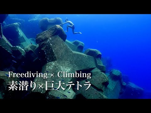 Freediving and Underwater Climbing on Tetrapods at World Heritage Yambaru（素潜り＠沖縄本島国頭村宜名真漁港）