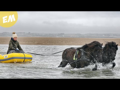 Black Stallions go Boating