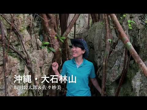 【沖縄移住日記】大石林山〜沖縄最大級のパワースポット〜坂田公太郎＆佐々妙美