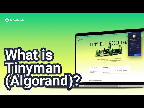 What is Tinyman Algorand? Algorand DEX (Algorand DeFi apps)