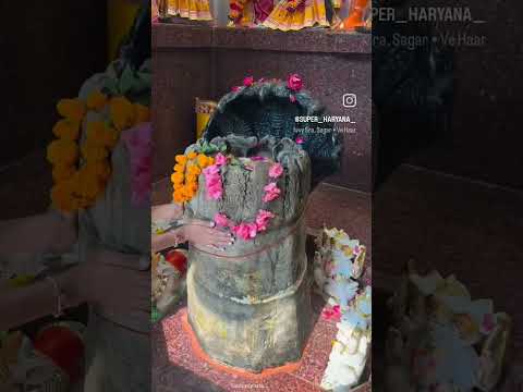 har har mahadev bholenaath kedranath uttarakhand short mahadev short#shortsfeed #shorts#shortsviral🙏