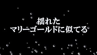 マリーゴールド 歌詞付き