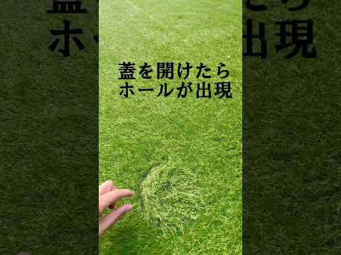 お庭でゴルフ⛳️このあとすぐ