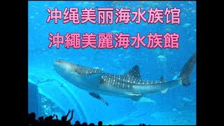 【治愈】冲绳美丽海水族馆(沖繩美麗海水族館) - 透过(過)巨大的透明面板一探黑潮的海洋世界 / 超大鲸鲨 超大鯨鯊 鬼蝠魟 鲸鲨 鯨鯊 鱼 魚