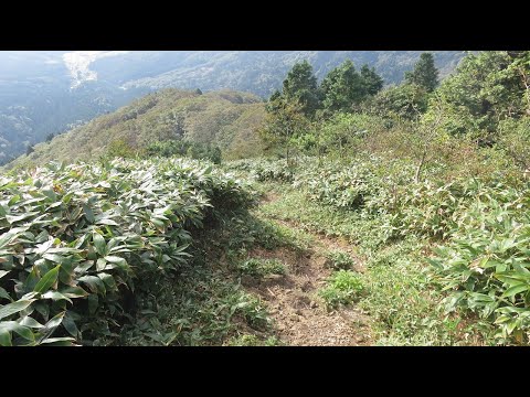 毛無山登山