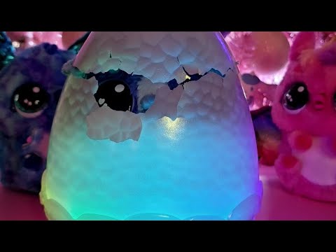 Revealing Hatchimals Alive Puppadee