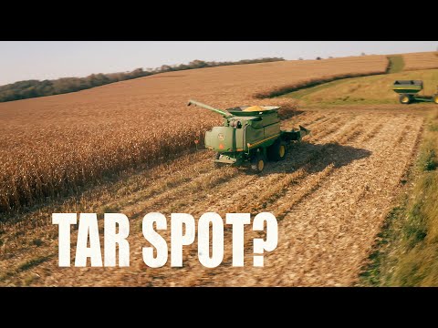 Battling Tar Spot, Waterhemp & Soil Compaction:  WHAT YOUR CORN IS TRYING TO TELL YOU!