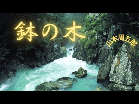 【人情時代劇】【朗読】鉢の木   山本周五郎作　朗読　芳井素直