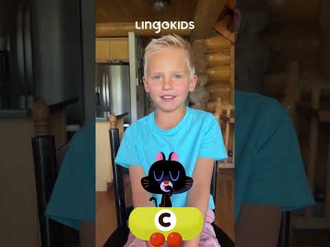 ABC Train Fun! 🚂 Sing and Learn with Lingokids #abctrain #abcfun #lingokids