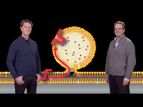 Farese and Walther (HSPH) 3: Physiology of Lipid Droplet Formation