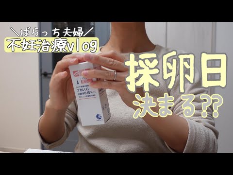 【不妊治療】卵胞いくつ育ってる？/採卵直前/スケジュール表載せます/初めての点鼻薬ブセレリン/ボルタレン/自己注射の日々/ゴナールエフ/ガニレスト/体調の変化/夫婦でサジー/1人目妊活中