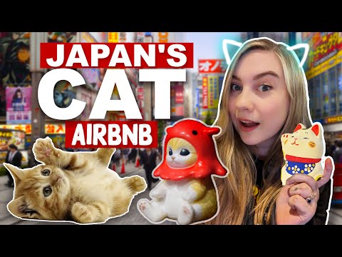 Staying in @sharlainjapan's House | NEKO NEKO INN | Cat Themed Airbnb Tokyo Japan