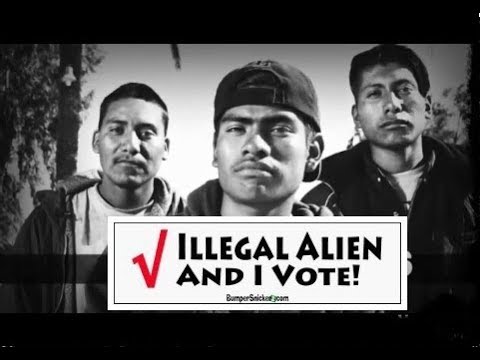 Tucker Carlson - The Illegal Alien Voter Drive