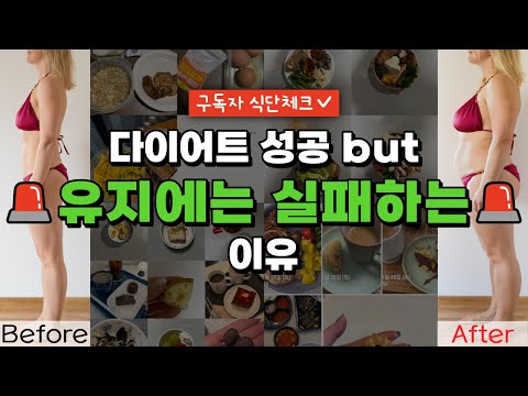 -10kg 4년 차 유지어터의 다이어트 식단 꿀팁✨(근육량 늘리는 방법/바디프로필)