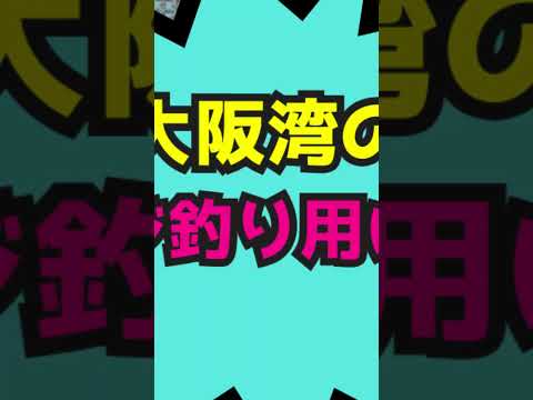 【鬼アジ】2モデルでビギナーにもオススメ「kaijin 鬼アジ」