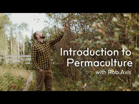 Introduction to Permaculture (1/5): Foundations with Rob Avis