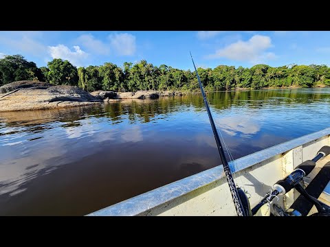 We Caught THE STRONGEST FISH IN THE AMAZON RAINFOREST!! (Sick Eats)