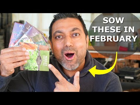 15 Seeds You Must Grow in February