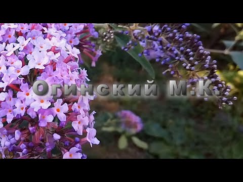 Огинский М К  Полонез № 6 до минор  Музыка для души