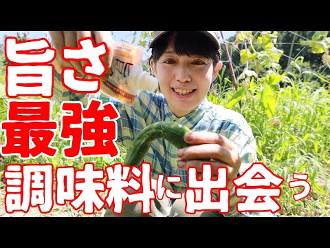 【調味料史上一番かも】畑で採れた野菜がさらに美味しくなる！？万能調味料発見！