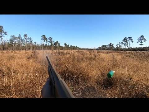 SC Deer Dog Drives After Thanksgiving: More Killshots!