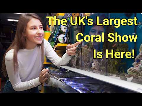 AquaH: The UK's Largest EVER Coral Show Is Here NEXT WEEK!