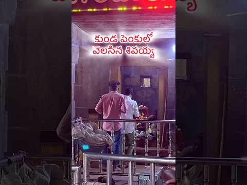 కుండ పెంకులో వెలసిన శివయ్య🤔...#shorts #ytshorts #hatakeswaram #youtubeshorts #srisailam