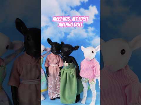 Little lamb dolls in cute outfits