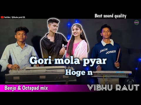 Gori mola pyar hoge n / Vibhu raut / cg trending song / benjo pad song