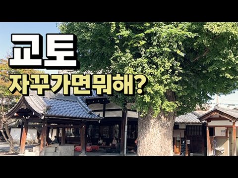 교토 중독자가 말아주는 교토 여행 가이드.