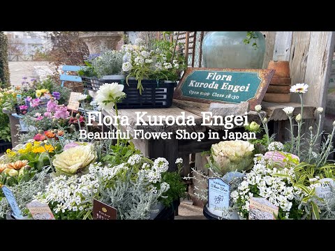 #72 Beautiful Flower Shop in Japan, Flora Kuroda Engei Revisited