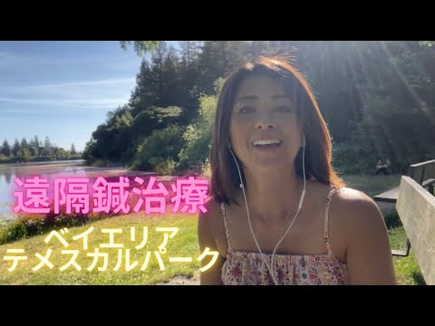 鍼灸師Sakikoの遠隔鍼治療　カリフォルニアTemescal Park