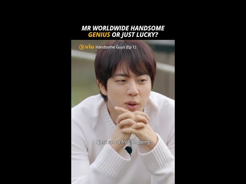 Mr Worldwide Handsome - Genius or Just Lucky? 🤣 | Handsome Guys