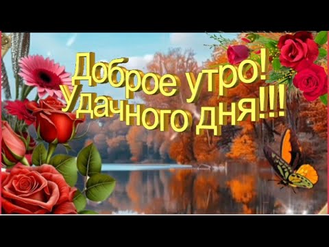 ХОРОШЕГО ДНЯ И ПРЕКРАСНОГО НАСТРОЕНИЯ 🌹🌹🌹~ МУЗЫКАЛЬНАЯ ОТКРЫТКА ДЛЯ ТЕБЯ!