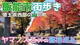 埼玉県飯能市を街歩き　埼玉県西部の山と自然の町　ヤマノススメの聖地巡礼もします