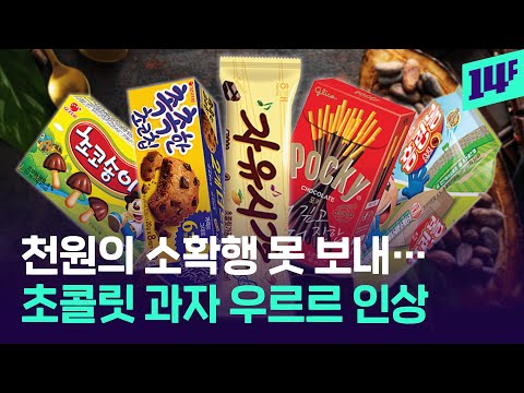 오리온, 해태 손잡고 초콜릿 과자 가격 최대  20%까지 올렸다… 그 이유는? / 14F