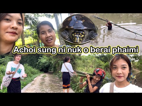 Achoi sung thing berai ni thangmi // Tuisama para // Dergang tui thumo komya😱