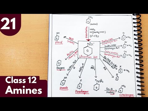 21) Complete reactions of Diazonium salt| Amines Class12 Chemistry #neet #jee #iitjee