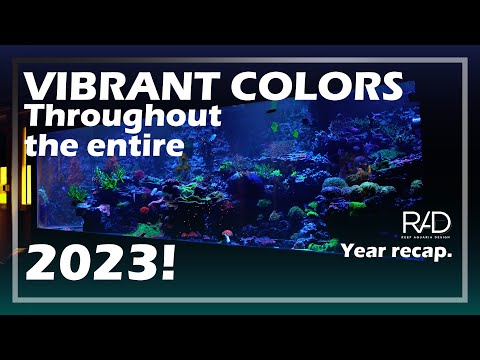 REEF AQUARIA DESIGN RECAP FOR 2023. A LOT OF BEAUTIFUL AQUARIUMS AND INTERESTING PEOPLE.