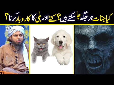 Kia Jinnat Har Jga Ja skty hen? Cats & Dogs Sale krna? Engineer Muhammad Ali Mirza