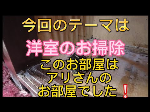 Vol.021_あんずの別荘キレイにするワン〔続編、洋室のお掃除＿このお部屋はアリさん達のお部屋でした❕〕2023022