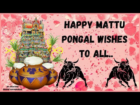 Mattu pongal