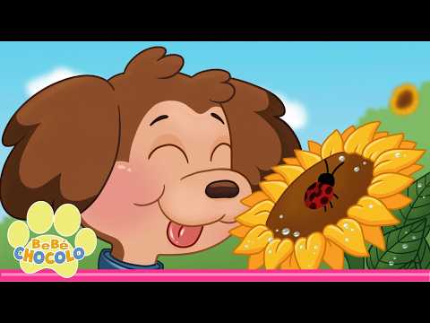 LOS PERRITOS DICEN GUAU | BEBÉ CHOCOLO 🐾 |  CANCIONES INFANTILES #cancionesparabebés