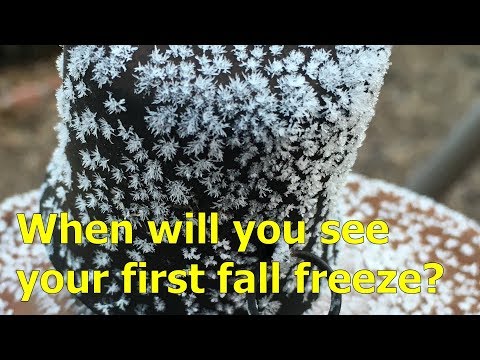 When does the first fall freeze normally occur in your city?